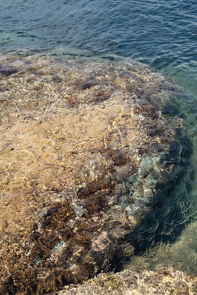 Sea water and rocks in a small cove by Adriana Mueller