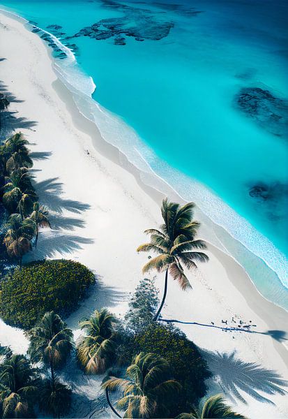 Weißer Palmenstrand von drdigitaldesign