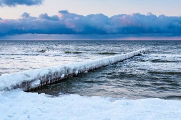 Buhne an der Ostseeküste in Zingst im Winter von Rico Ködder