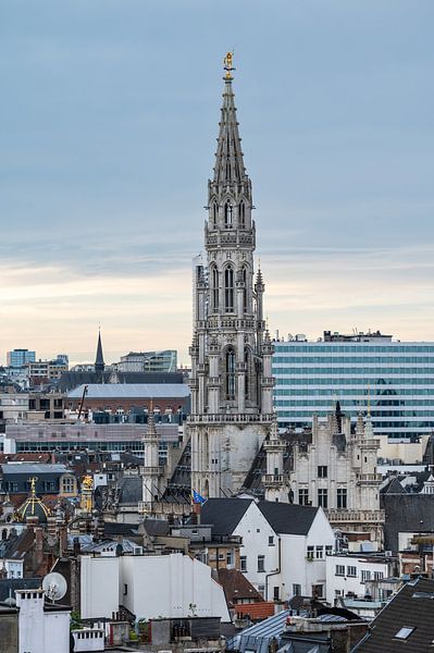 Brussels and its town hall by Werner Lerooy