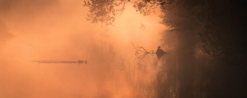 morning glory panorama by Bart Hardorff
