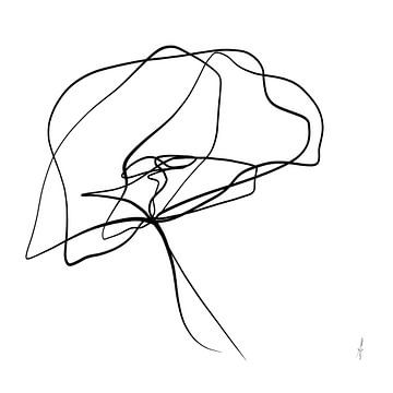 Klaproos one-line drawing in reeks part 4 van Ankie Kooi