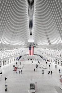 The Oculus