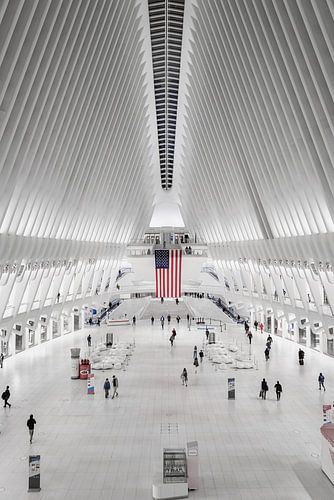 The Oculus