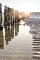 Zonsopkomst op Ameland - verticale foto