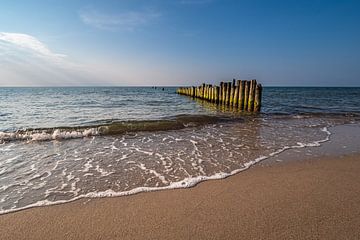 Groynes sur la côte de la mer Baltique, près de Graal Müritz. sur Rico Ködder