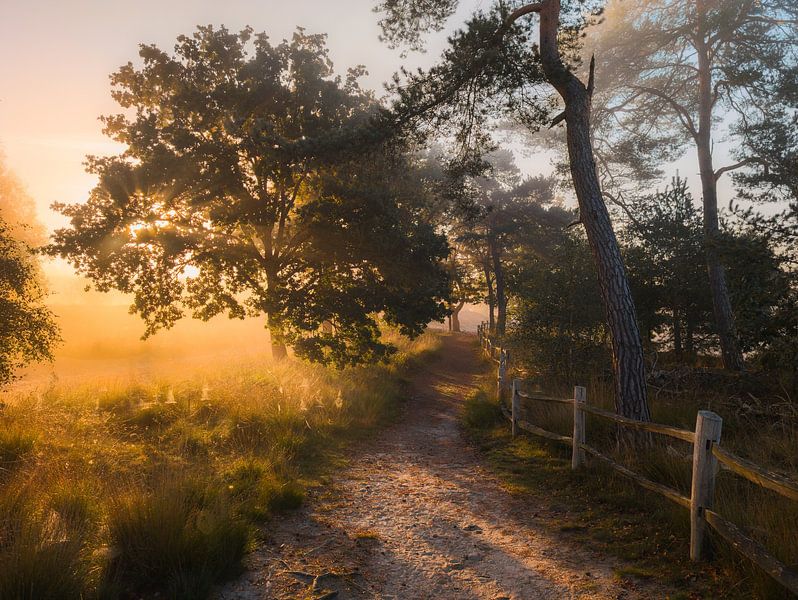 Gedoopt door het licht van Tvurk Photography