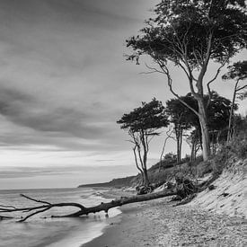 Sur la plage ouest du Darß sur Katrin May