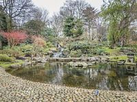 Japanese garden, Holland park, London
