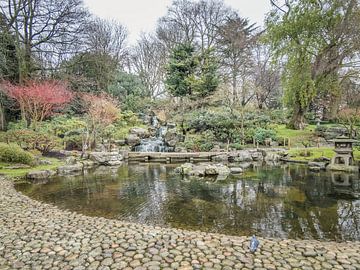 Japanese garden, Holland park, London by Andre Bolhoeve