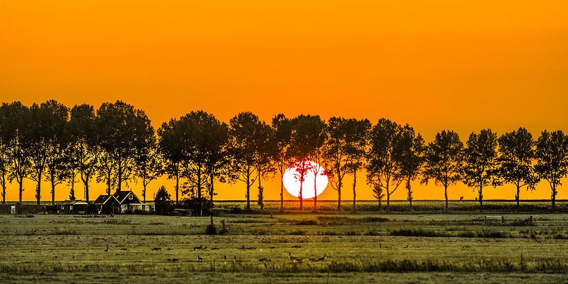 Zonsondergang door de bomen van Warns in het Friese Gaasterland ter hoogte van Laaksum. van Harrie Muis