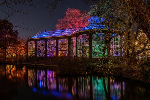 De kleurrijk verlichte Hortus Botanicus van Amsterdam