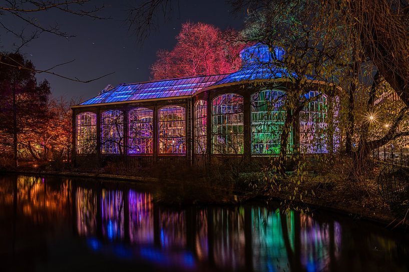 De kleurrijk verlichte Hortus Botanicus van Amsterdam van Jeroen de Jongh