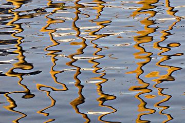 Reflecties in het water van Antwan Janssen
