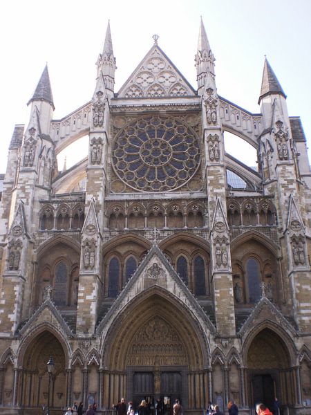Cathedral by Simone van der Heide