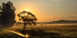 Foggy sunrise by Peter Roovers