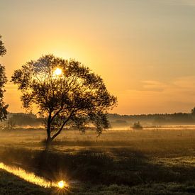 Foggy sunrise by Peter Roovers