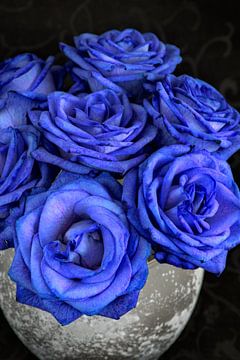 Blauwe rozen van Lorena Cirstea