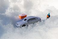 stuck in the snow by Sandra Perquin thumbnail