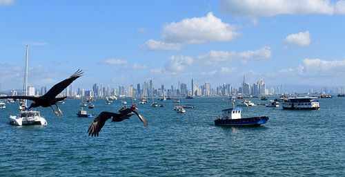 Uitzicht op de haven en de stad in de verte