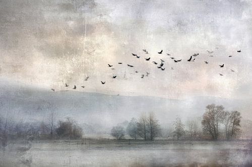 Vogels boven Mistig Landschap - Rustige Fine Art