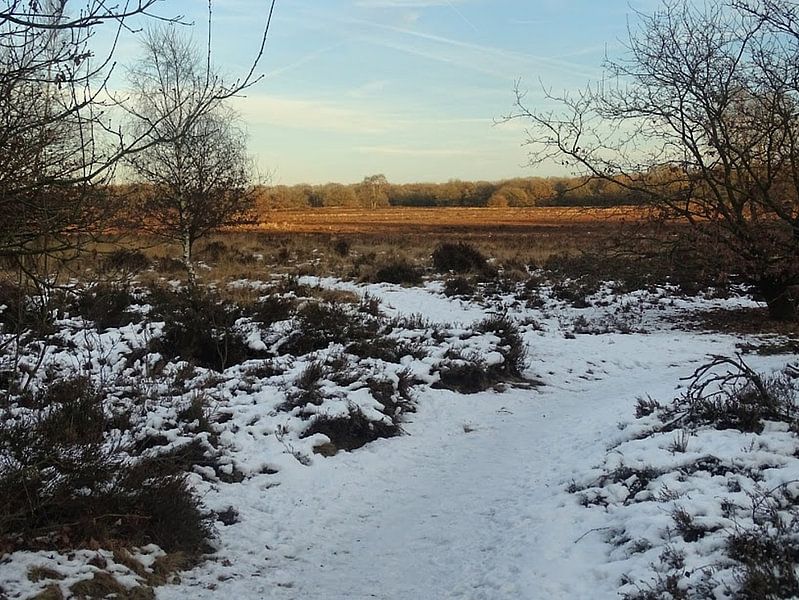 Op de Veluwe by Sanne Compeer