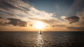 Sailing home by Richard van der Zwan