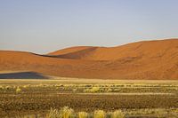 Dodevlei_6, Sesriem, Namibia