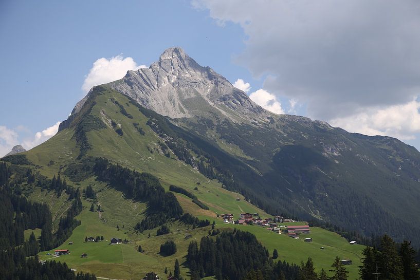 Alpenpanorama von Erich Werner