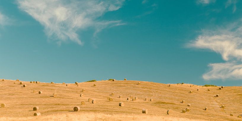 harvest von Michael Schulz-Dostal