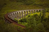 Sonnenlicht auf Glenfinnan-Viadukt in Schottland von Arja Schrijver Fotografie Miniaturansicht