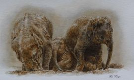 Parenting by Wim Romijn