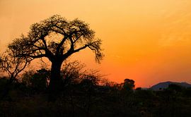 Setting sun in Malawi