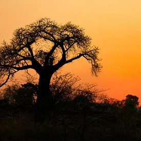 De zon is net onder in Malawi van Natuurpracht   Kees Doornenbal