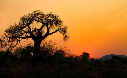 De zon is net onder in Malawi van Natuurpracht   Kees Doornenbal