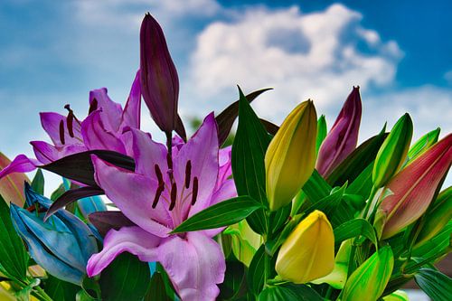Gekleurde rainbow boeket van lelies