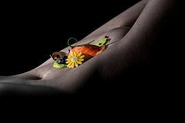 Nude with sushi in color