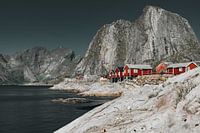 Hamnøy Fishing Village Lofoten Norway