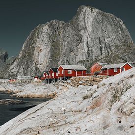 Hamnøy Vissersdorp Lofoten Noorwegen van FOTOFOLIO.DE