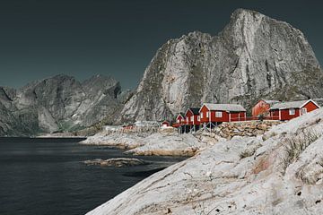 Hamnøy Vissersdorp Lofoten Noorwegen van FOTOFOLIO.DE