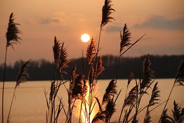 Sonnenuntergang über dem Fluss Rotte von André Muller