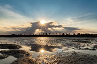 Spiegelingen aan het Grevelingenmeer van Willian Goedhart thumbnail