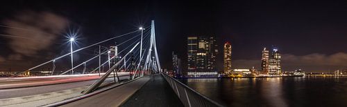Panorama Erasmusbrug