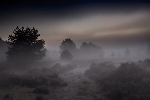paysage nocturne
