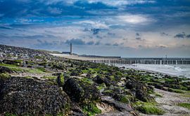 KNRM station Westkapelle by MSP Canvas