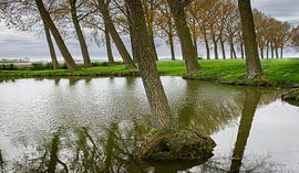 0830 Elverous by Adrien Hendrickx