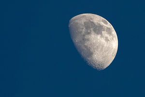 La lune sur Dennis Bresser