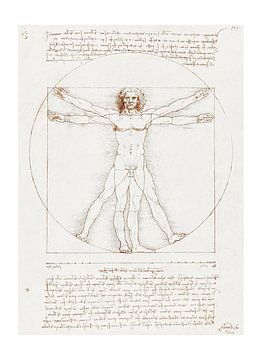 De Universele Mens - Tekening van Da Vinci's Vitruvius van Atelier Kinst