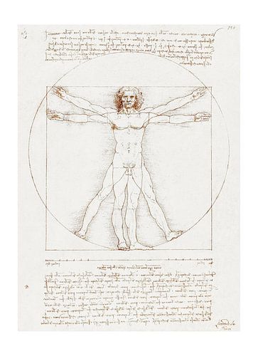 Der universelle Mensch - Zeichnung von Da Vinci's Vitruvius