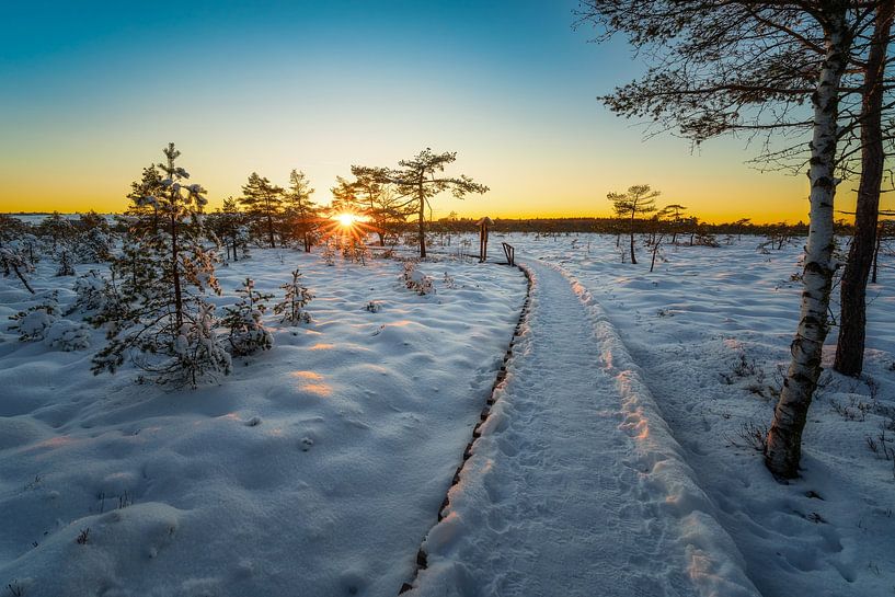 Winter's tale by Andre Michaelis